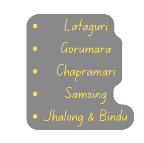 Lataguri Gorumara Chapramari Samsing Jhalong Bindu